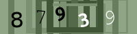 Kontrolní kód